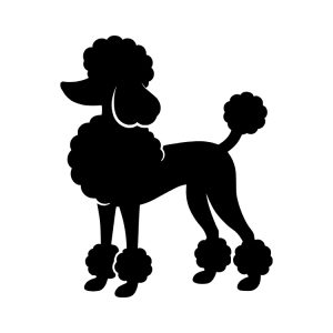 elegant poodle silhouette clipart thumb svg clipart design image