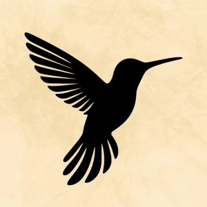 flying hummingbird silhouette svg clipart design image