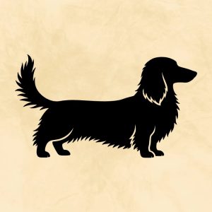 long haired dachshund dog silhouette svg clipart design image